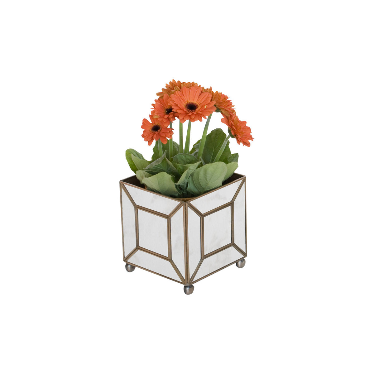 MTPAMC Square Planter