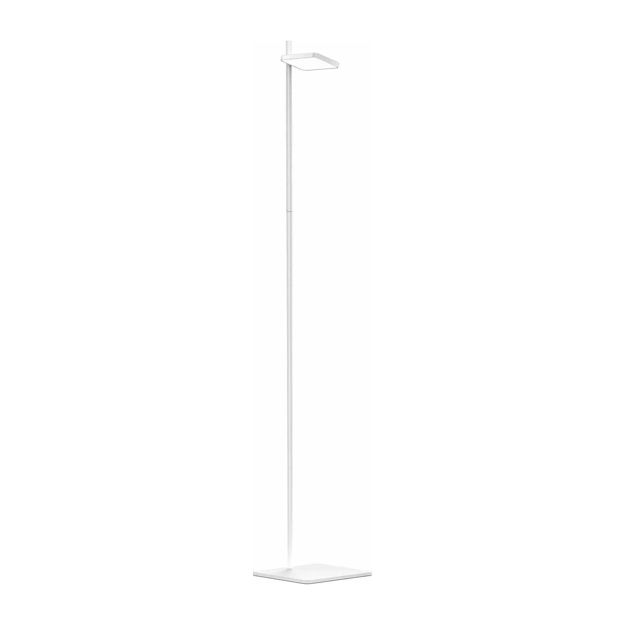 Pablo Designs - Talia Floor Lamp - TALI FLR WHT | Montreal Lighting & Hardware