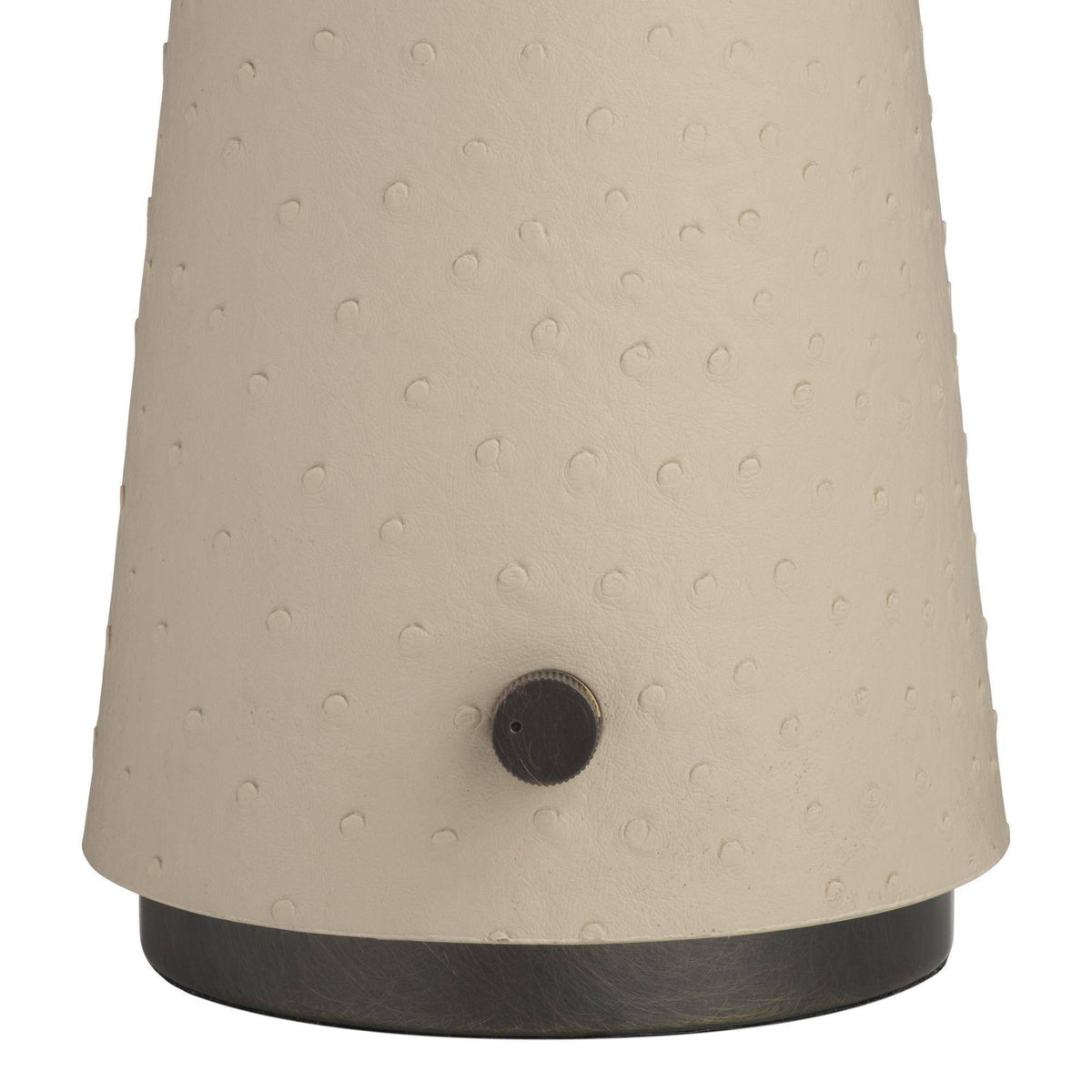 Struzzo LED Rechargeable Accent Lamp