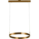 PageOne Lighting - Prometheus LED Pendant - PP120281-BG | Montreal Lighting & Hardware