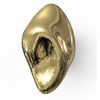 P&Bhusri PVD Polished Brass finish