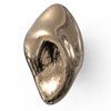 P&Bhusri PVD Polished Bronze finish