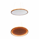 Accord Lighting 1441LED Naiá Accord Pendant