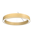 Accord Lighting 1349LED.49 Cylindrique Accord Suspension en or biologique