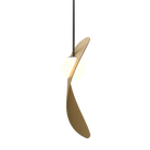 Accord Lighting 1511.49 Oyster Accord Pendant in Organic Gold