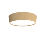 Accord Lighting 5109LED.34 Conic Accord Ceiling in Maple