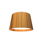 Accord Lighting 5100LED.12 Conical Accord Ceiling Mounted in Teak