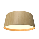 Accord Lighting 5098LED.45 Conical Accord Ceiling Mounted in Sand