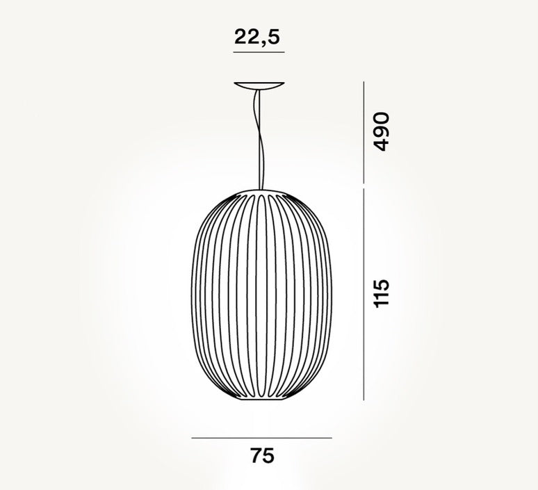 Foscarini FN2240071_25_UL Plass Grande Pendant in Transparent grey (25)