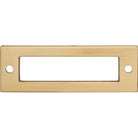 Top Knobs TK923HB Hollin Backplate in Honey Bronze