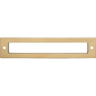 Top Knobs TK925HB Hollin Backplate in Honey Bronze