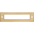 Top Knobs TK924HB Hollin Backplate in Honey Bronze