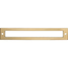 Top Knobs TK926HB Hollin Backplate in Honey Bronze