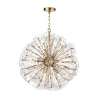 Regina Andrew - Poppy Glass Chandelier - 16-1243CLR | Montreal Lighting & Hardware