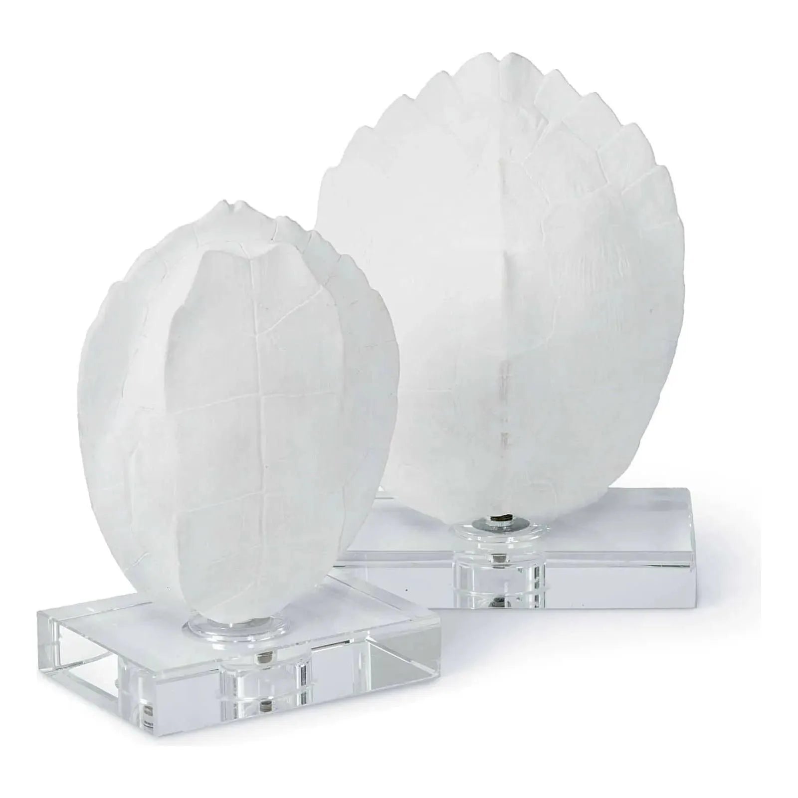 Regina Andrew - Turtle Shells on Crystal (Set of 2) - 20-1043 | Montreal Lighting & Hardware