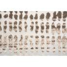 Renwil - Ariella Rug 20035 - RARI-20035-1013 | Montreal Lighting & Hardware