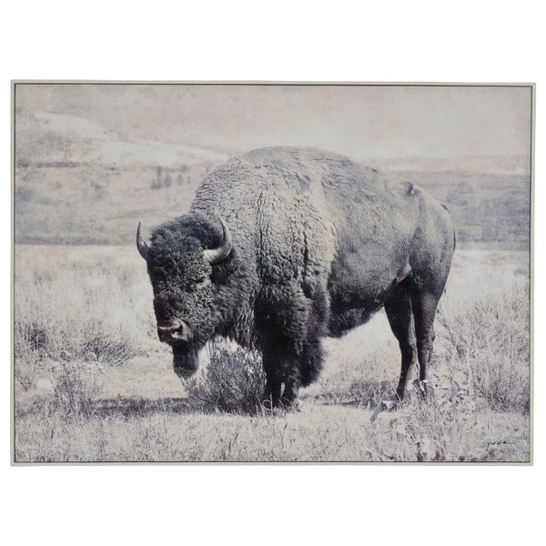 North Range Canvas