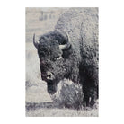 Renwil - North Range Canvas - OL1485 | Montreal Lighting & Hardware