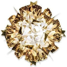 SLAMP - Veli Ceiling/Wall Light - VELCM00GLD00000000US | Montreal Lighting & Hardware