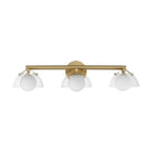 Studio M Lighting - Domain LED Vanity - SM31003CLNAB | Montreal Lighting & Hardware