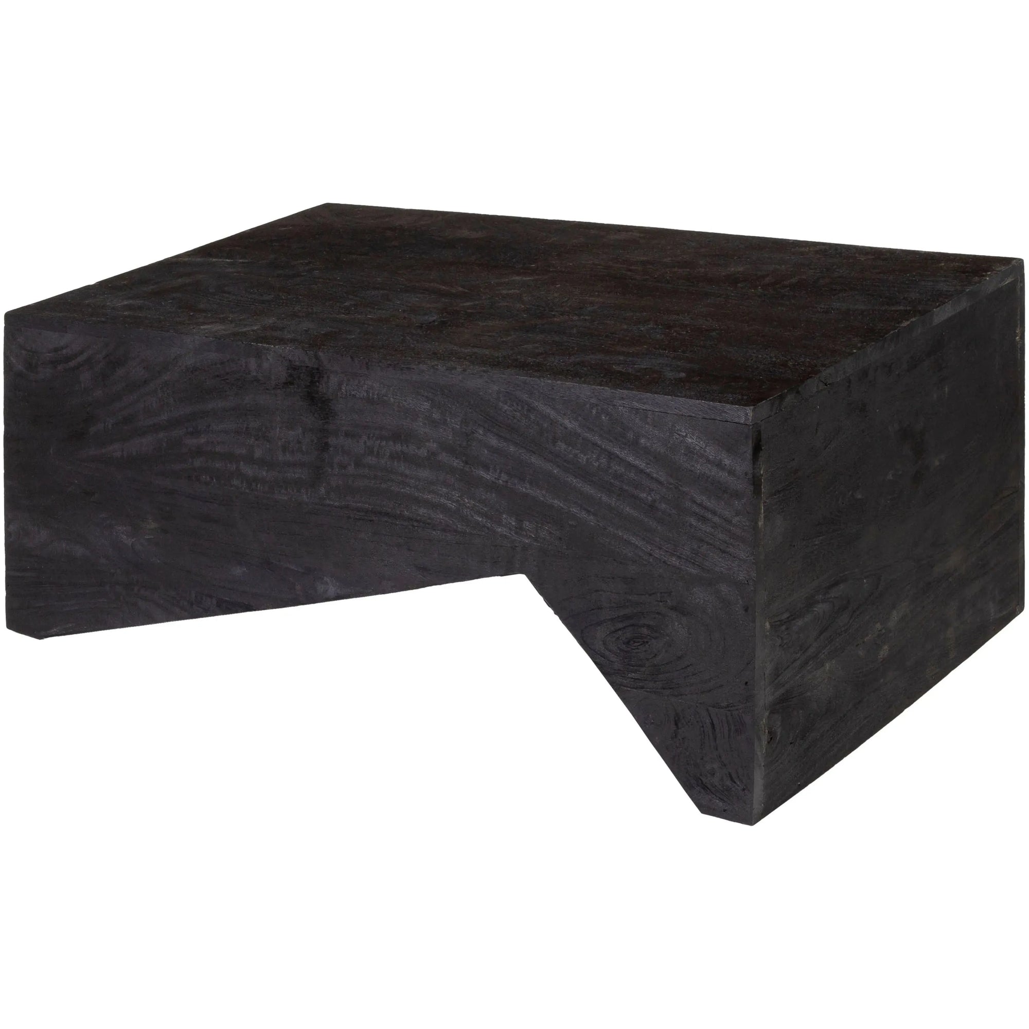 Surya - Neemrana Coffee Table - NEE-001 | Montreal Lighting & Hardware