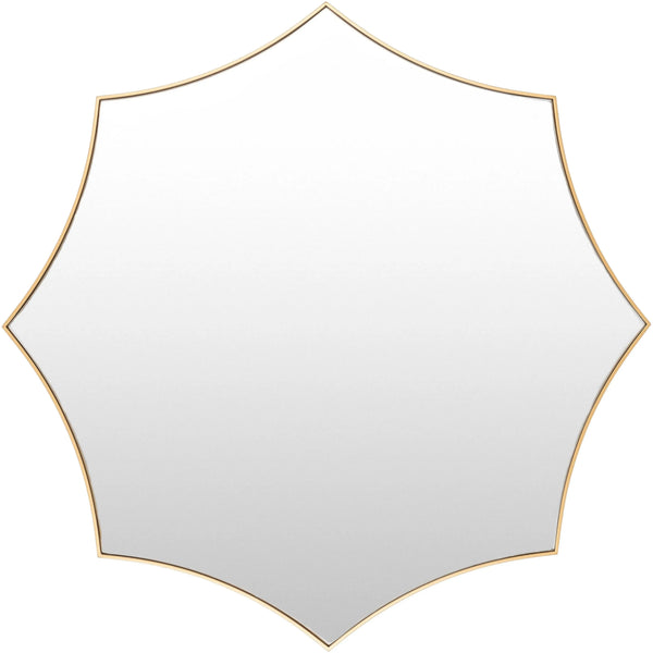 Virgo Mirror