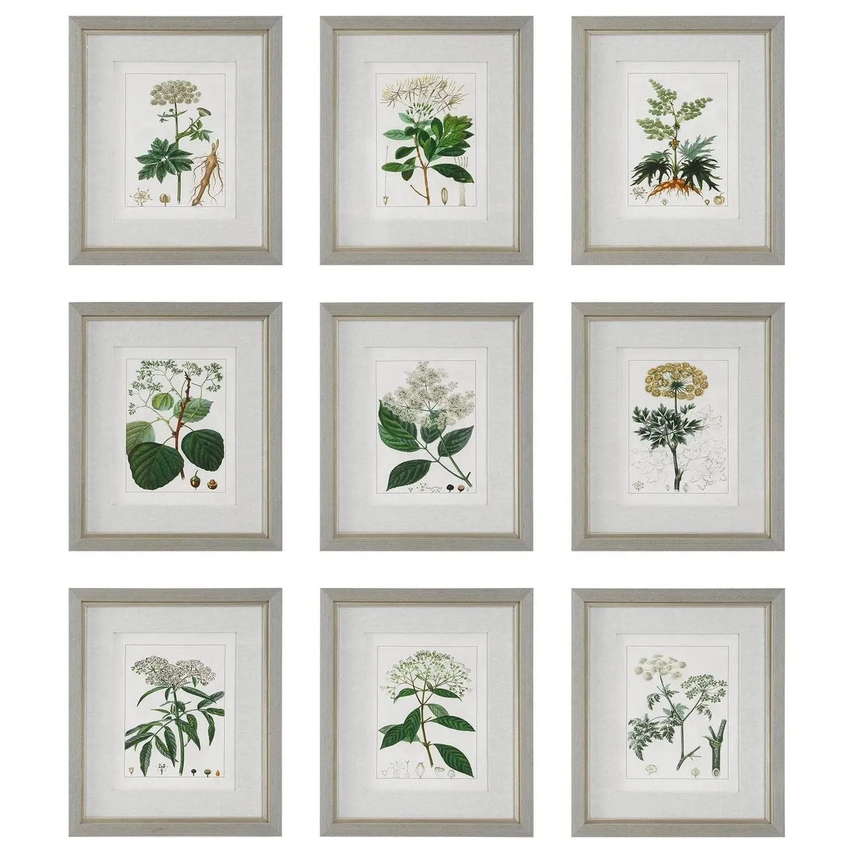 The Uttermost - Antique Framed Prints, S/9 - 41466 | Montreal Lighting & Hardware