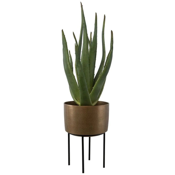 Arabia Planter