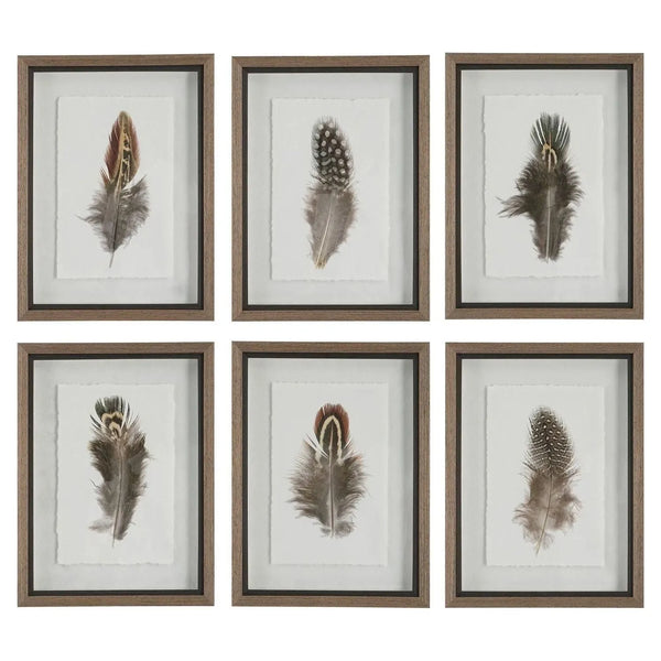 Birds Of A Feather Framed Prints, S/6