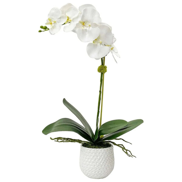 Cami Orchid Orchid