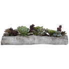 The Uttermost - Charita Succulents - 60174 | Montreal Lighting & Hardware