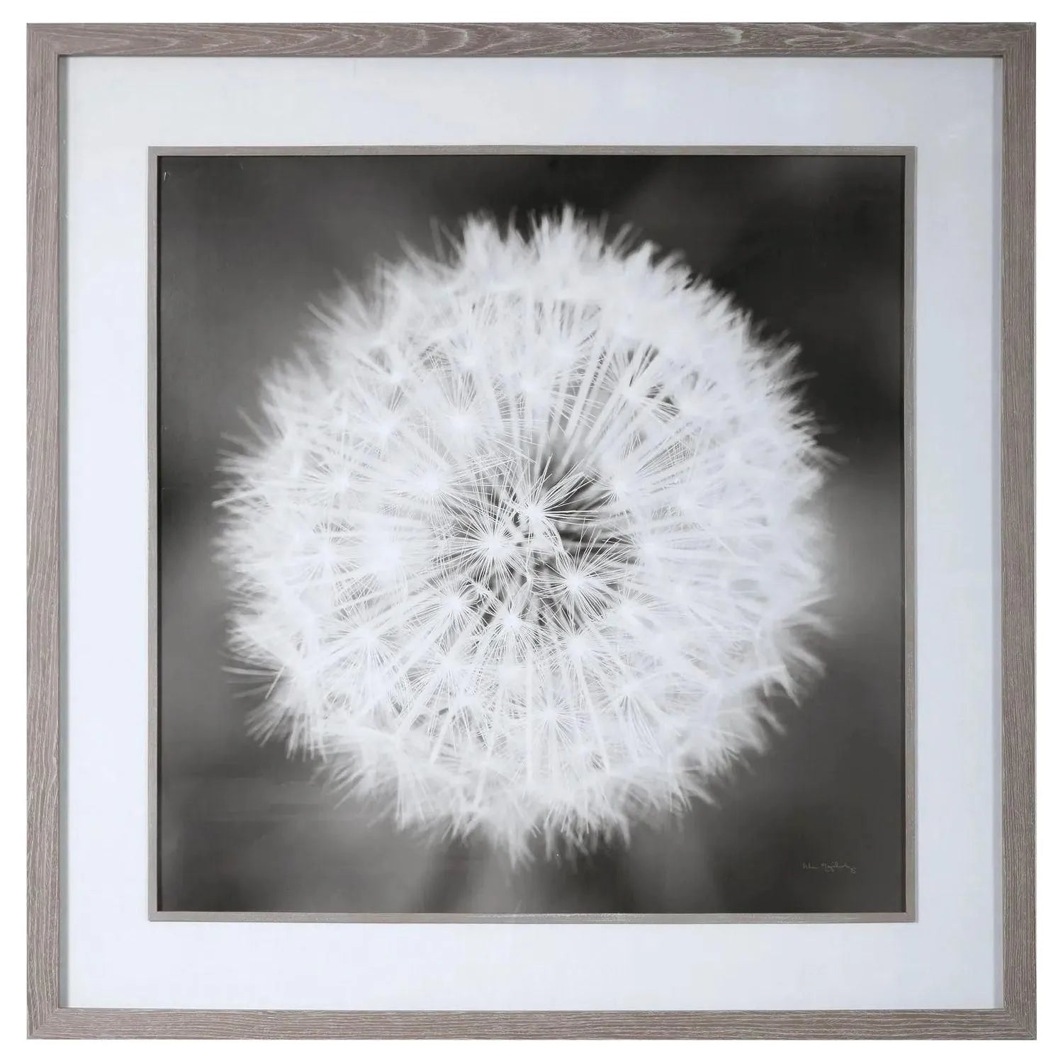 The Uttermost - Dandelion Seedhead Framed Print - 33711 | Montreal Lighting & Hardware