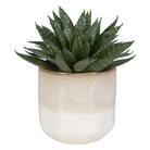 The Uttermost - Doha Succulent Accent - 60213 | Montreal Lighting & Hardware