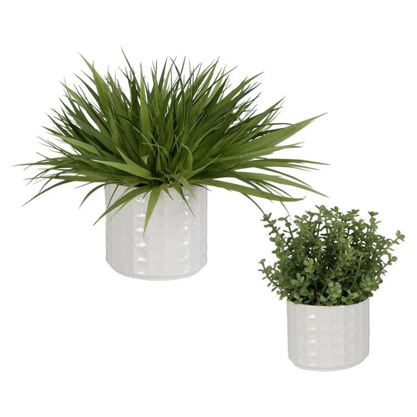 Edgewood Greenery, Set/2