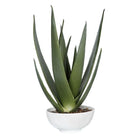 The Uttermost - Evarado Planter - 60177 | Montreal Lighting & Hardware