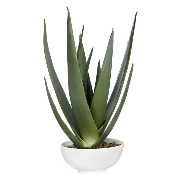 Evarado Planter