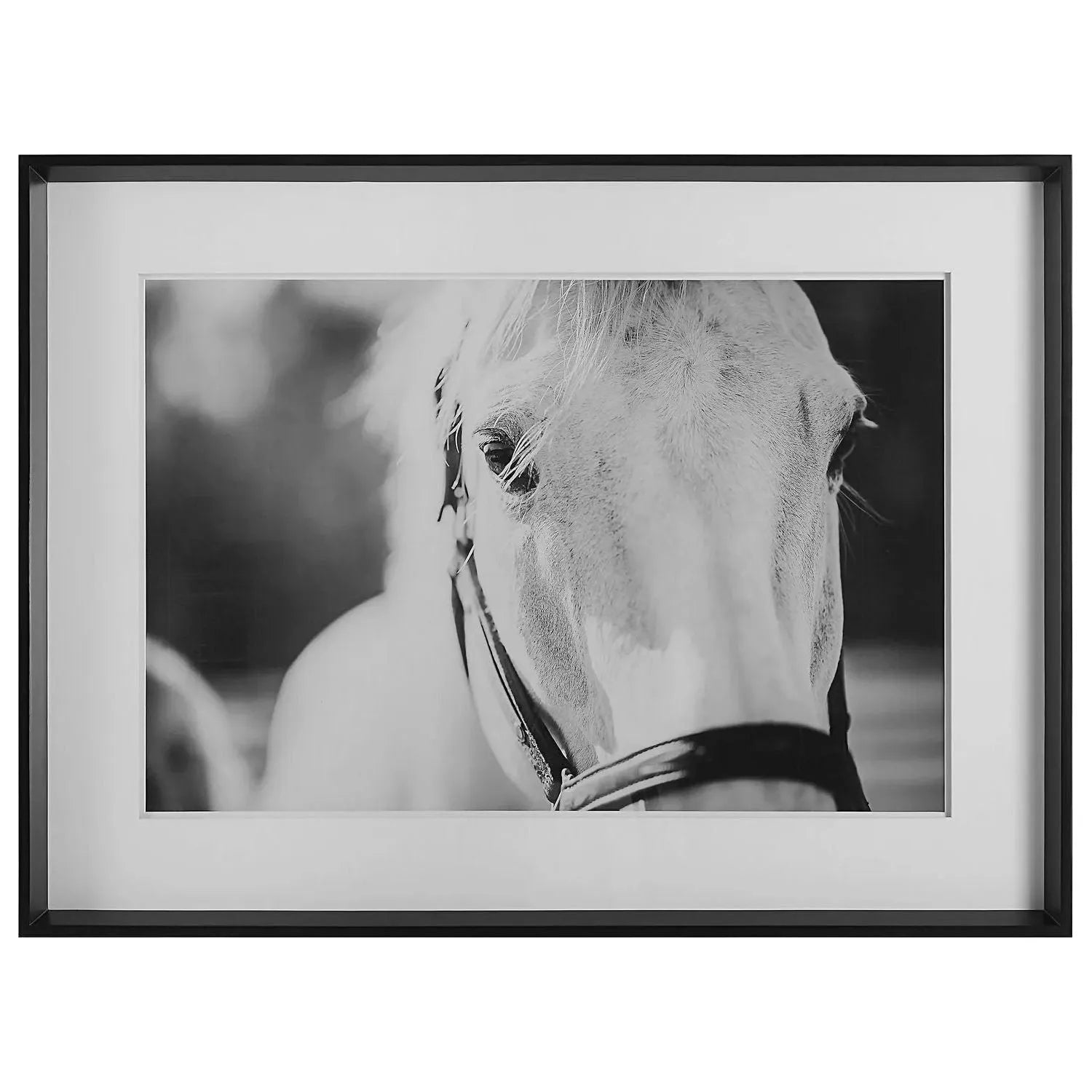 The Uttermost - Eyes On The Prize Framed Print - 41464 | Montreal Lighting & Hardware