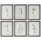 The Uttermost - Forest Finds Framed Prints, S/6 - 41459 | Montreal Lighting & Hardware