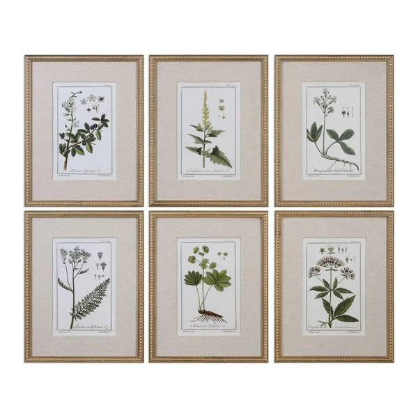 Green Floral Botanical Study Wall Art