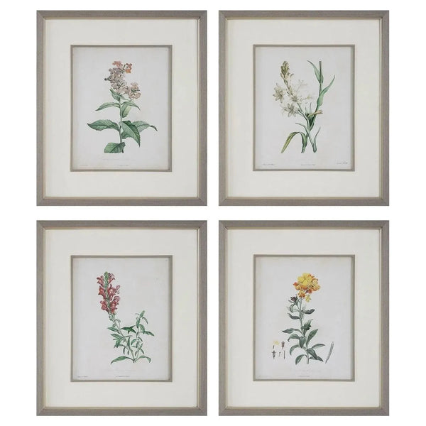 Heirloom Blooms Impressions encadrées Set/4