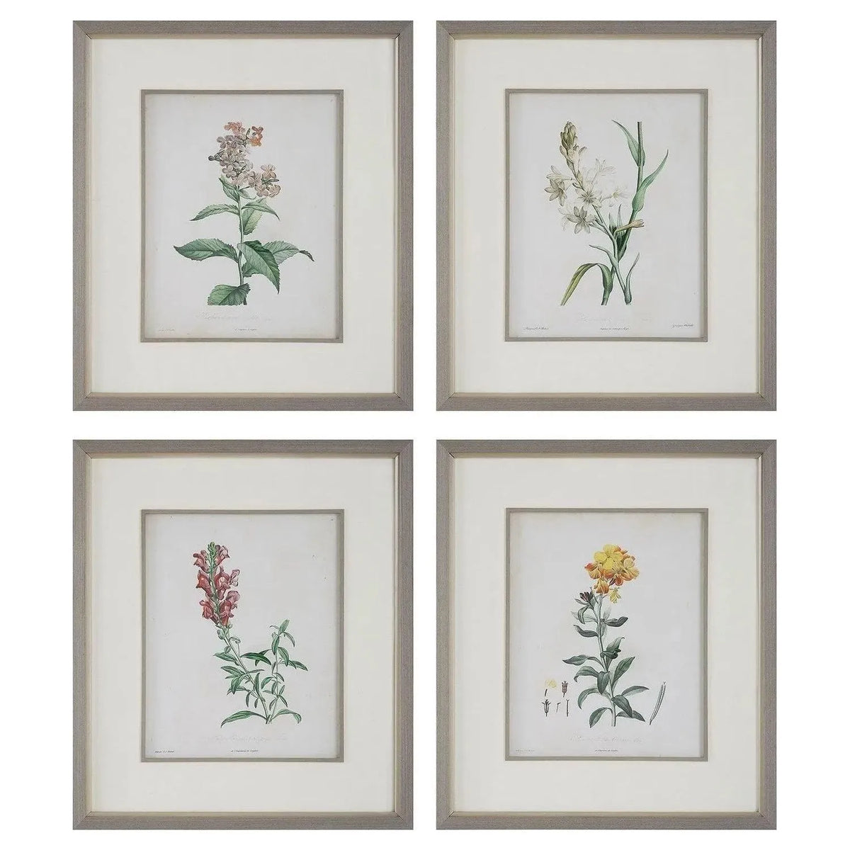 The Uttermost - Heirloom Blooms Framed Prints Set/4 - 32285 | Montreal Lighting & Hardware