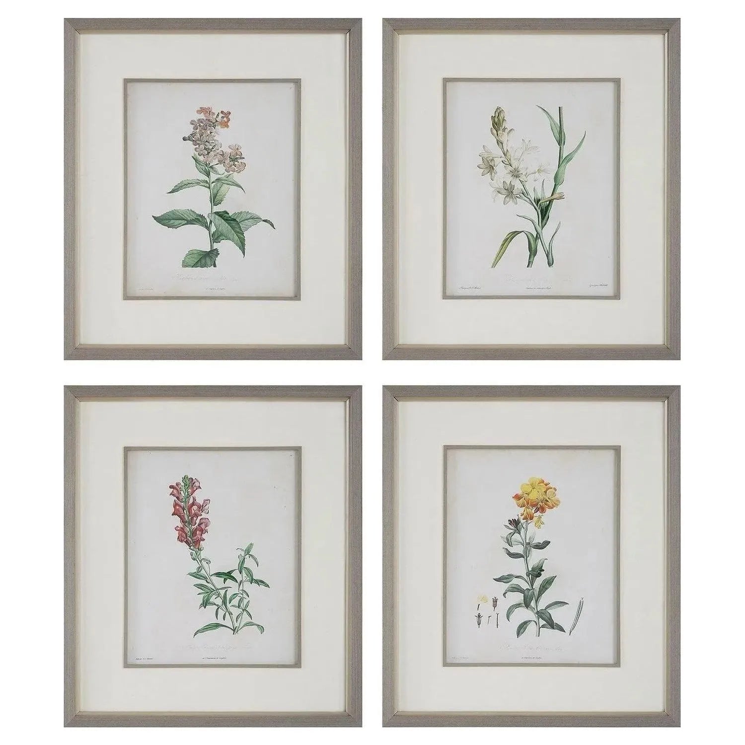 The Uttermost - Heirloom Blooms Framed Prints Set/4 - 32285 | Montreal Lighting & Hardware