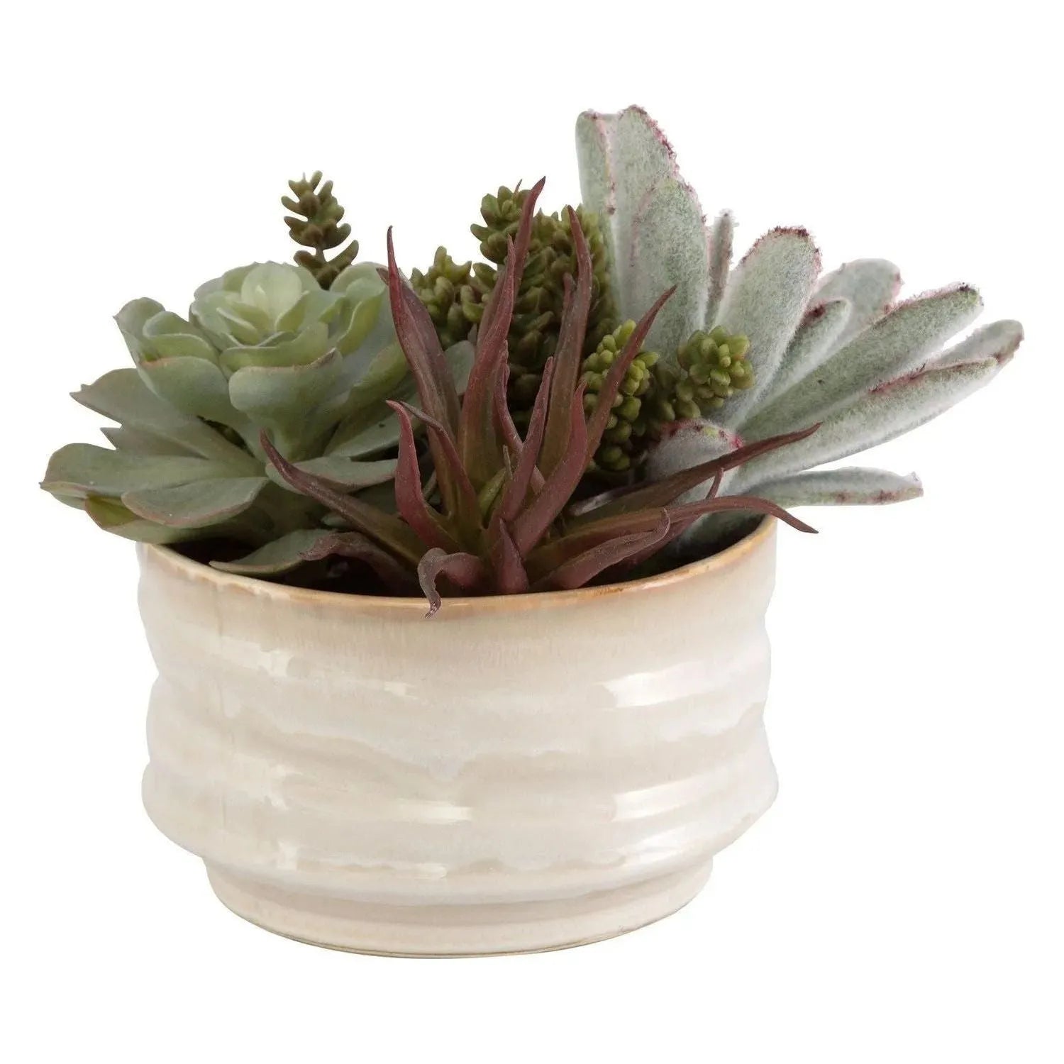The Uttermost - Mesa Succulent Succulent Accent - 60209 | Montreal Lighting & Hardware