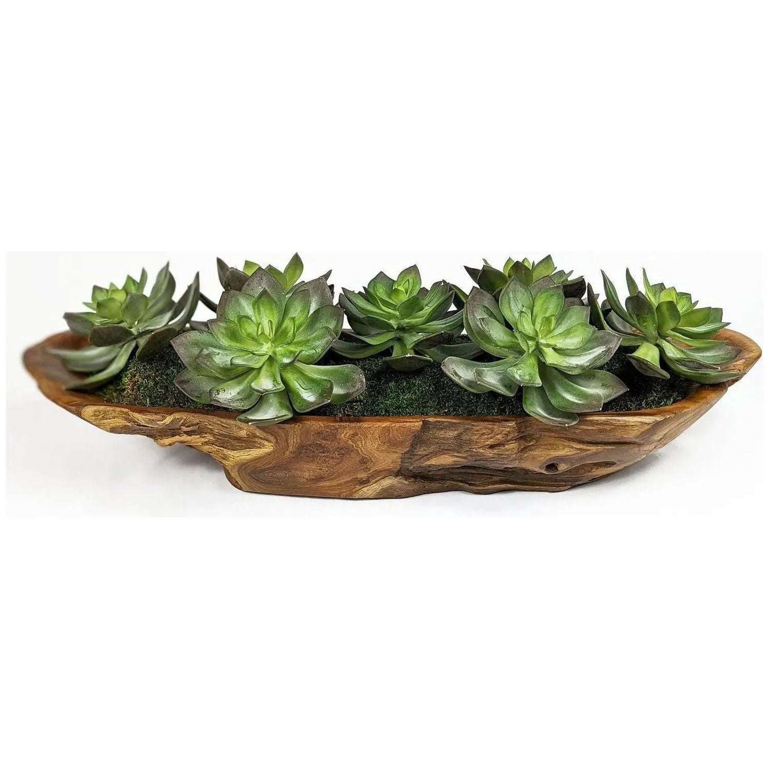 The Uttermost - Yuma Centerpiece - 60205 | Montreal Lighting & Hardware