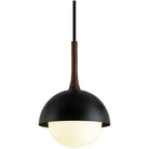 Troy Lighting - Cadet Pendant - F7645-SBK | Montreal Lighting & Hardware