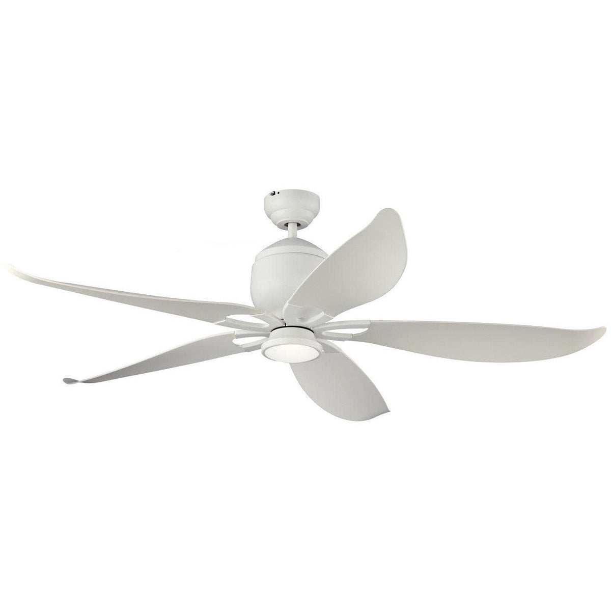 Visual Comfort Fan Collection - Lily 56" Ceiling Fan - 5LLR56RZWD-V1 | Montreal Lighting & Hardware