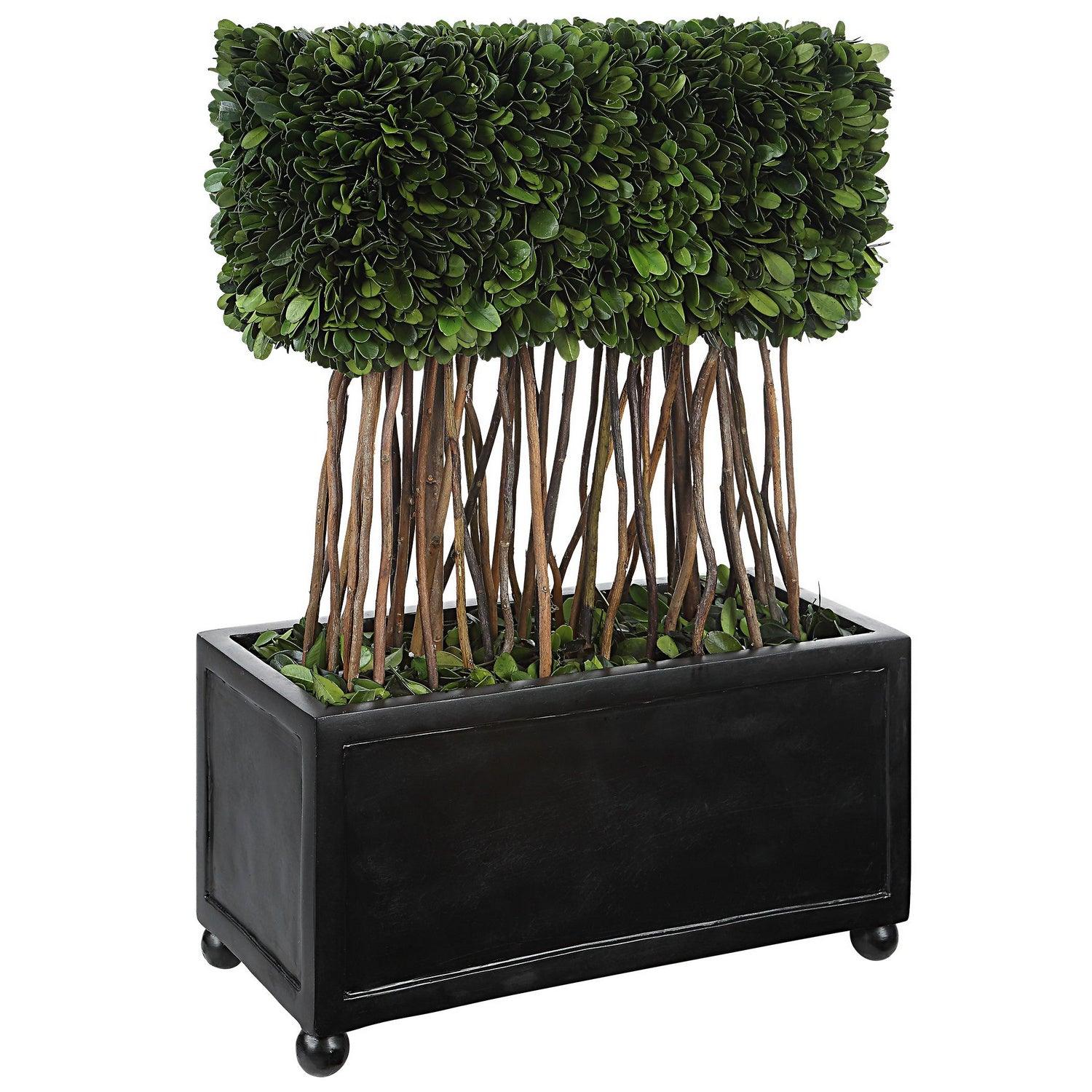 The Uttermost - PreservedBoxwood Topiary - 60188 | Montreal Lighting & Hardware