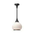 Alora Lighting - Hazel Pendant - PD524110MBOP | Montreal Lighting & Hardware