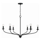 Capital Lighting Fixture Company - Dolan Chandelier - 449961MB | Montreal Lighting & Hardware