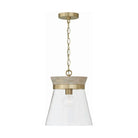 Capital Lighting Fixture Company - Finn Pendant - 347311WS | Montreal Lighting & Hardware